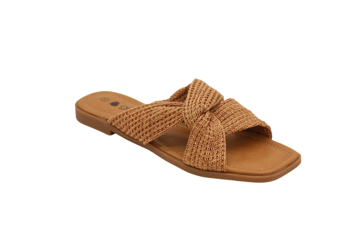 3085 | Chinelo raso