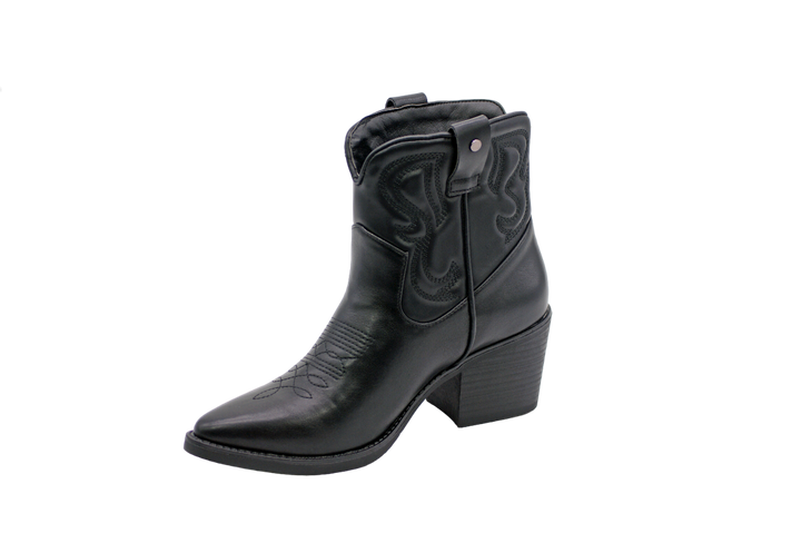 131 | Botas texanas cano baixo