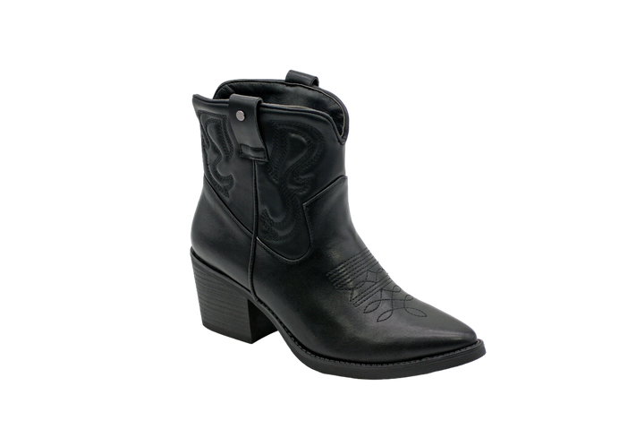 131 | Botas texanas cano baixo