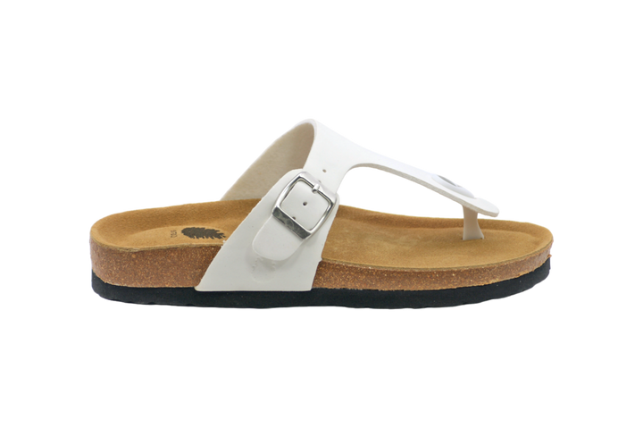 1051 | Chinelo de dedo com fivela