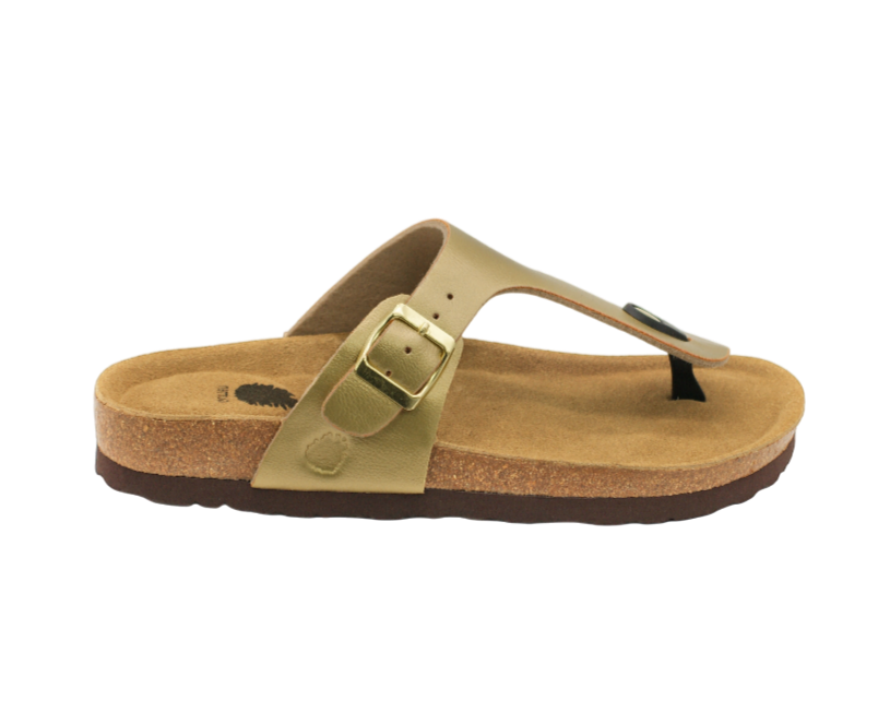 1051 | Chinelo de dedo com fivela