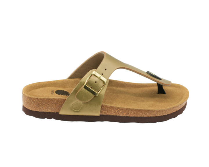 1051 | Chinelo de dedo com fivela