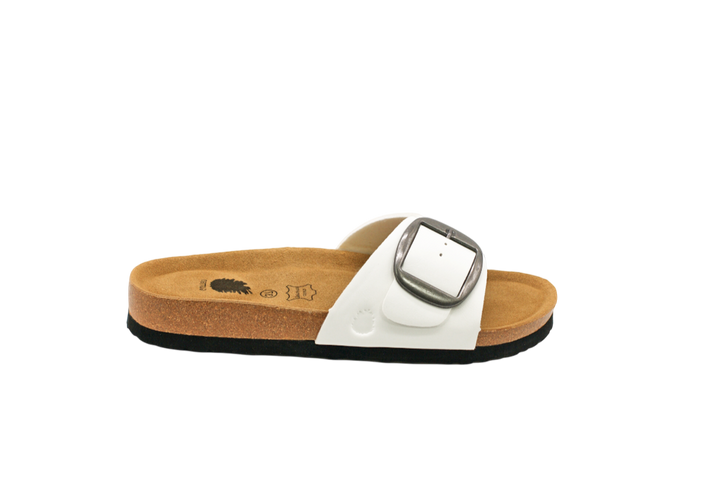 1045 | Chinelo de dedo com fivela