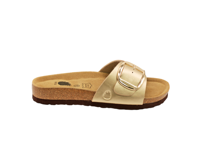 1045 | Chinelo de dedo com fivela